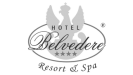 logo Hotel Belvedere